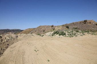 Enlarge photo 54
