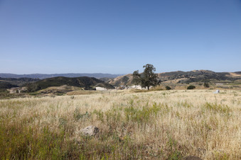 Enlarge photo 61