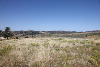 Enlarge photo 62
