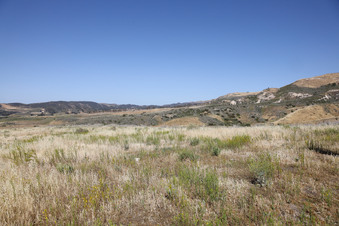 Enlarge photo 63