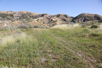 Enlarge photo 64