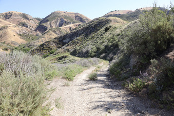 Enlarge photo 66