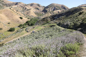 Enlarge photo 67