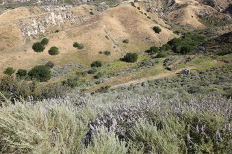 Enlarge photo 68