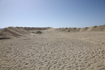Enlarge photo 72