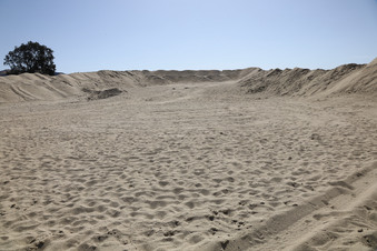 Enlarge photo 76