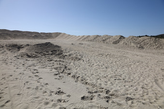 Enlarge photo 78