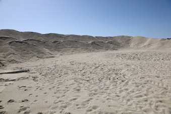 Enlarge photo 82