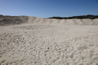Enlarge photo 83