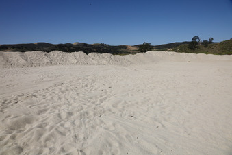 Enlarge photo 84