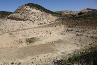 Enlarge photo 90