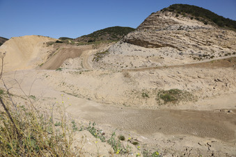 Enlarge photo 91