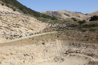 Enlarge photo 93