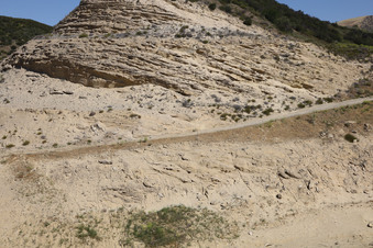 Enlarge photo 94