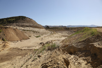 Enlarge photo 97