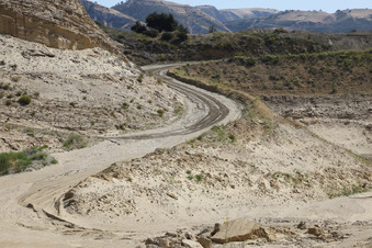 Enlarge photo 99