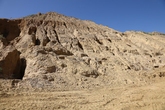 Enlarge photo 107