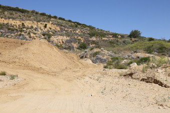 Enlarge photo 113