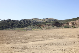 Enlarge photo 124