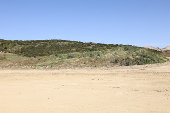 Enlarge photo 126