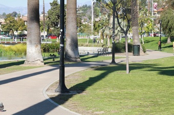 Enlarge photo 12
