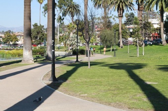 Enlarge photo 13