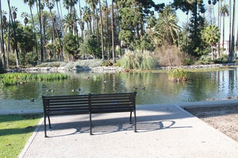 Enlarge photo 18