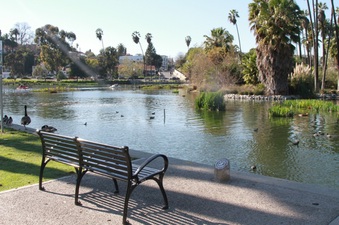 Enlarge photo 19