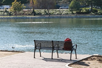 Enlarge photo 27