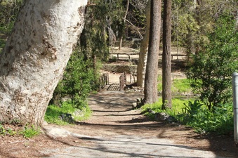 Enlarge photo 5