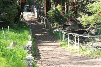Enlarge photo 7