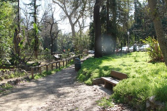 Enlarge photo 8