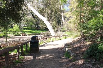 Enlarge photo 11