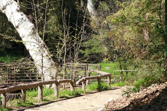 Enlarge photo 12