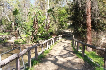 Enlarge photo 13