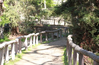 Enlarge photo 14