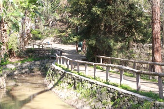 Enlarge photo 15