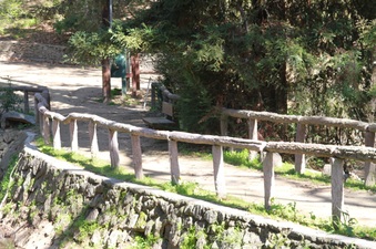 Enlarge photo 16