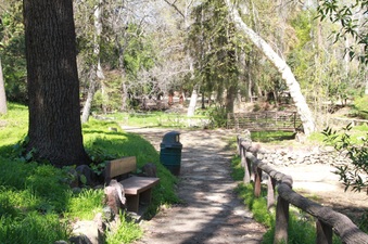 Enlarge photo 19