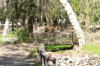 Enlarge photo 20