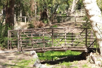 Enlarge photo 22