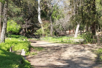 Enlarge photo 23