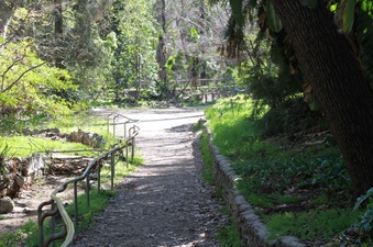 Enlarge photo 24