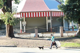 Enlarge photo 14