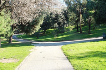 Enlarge photo 21