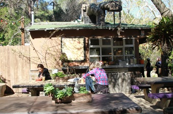Enlarge photo 7