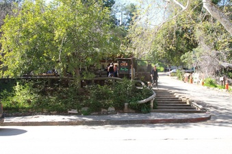 Enlarge photo 15