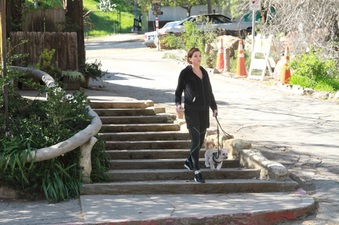 Enlarge photo 16
