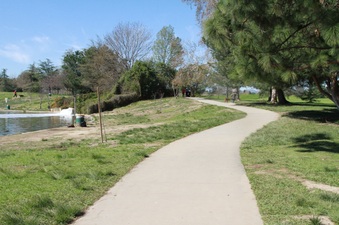 Enlarge photo 14