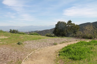 Enlarge photo 6